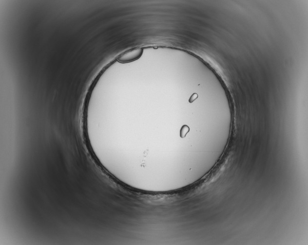 X0000096150949200802151351