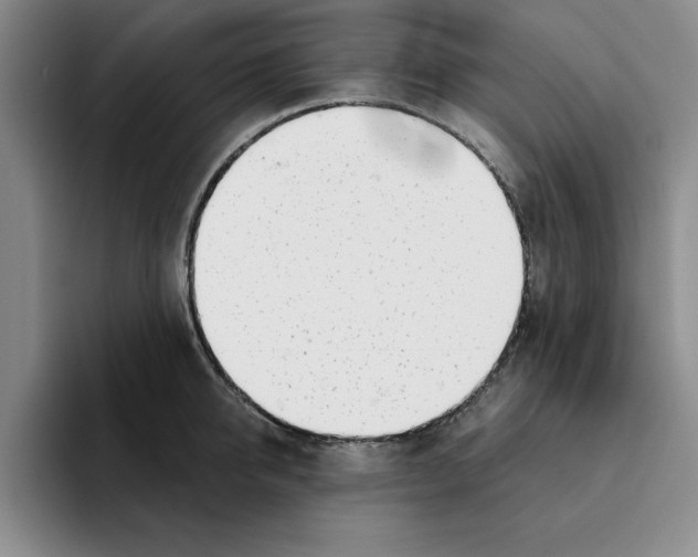 X0000096150950200802151351