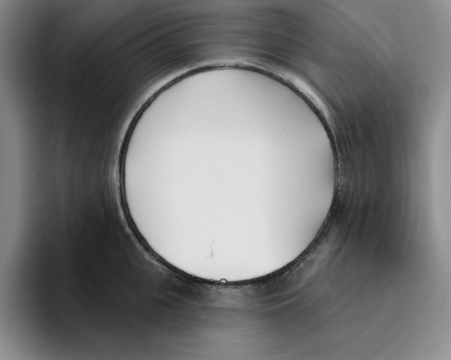 X0000096150951200802151351