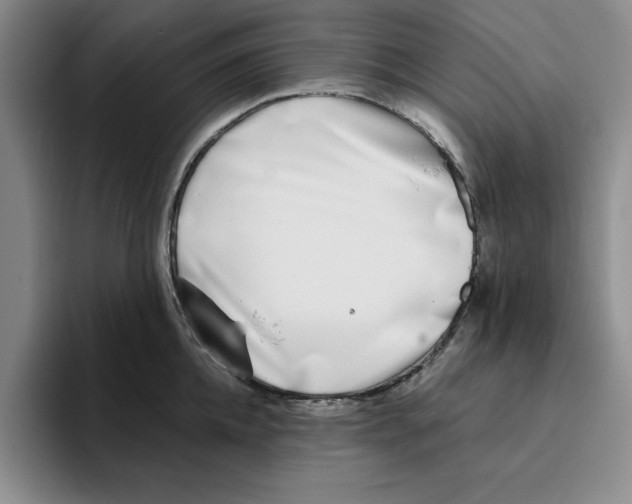 X0000096150952200802151351