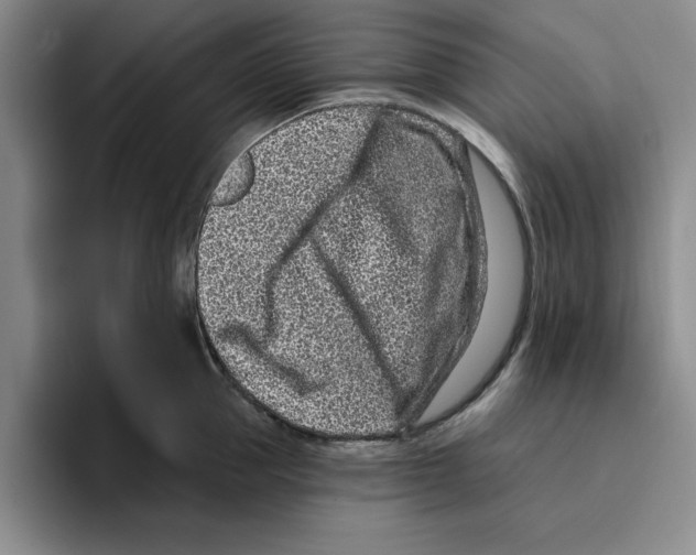 X0000096150953200802151351