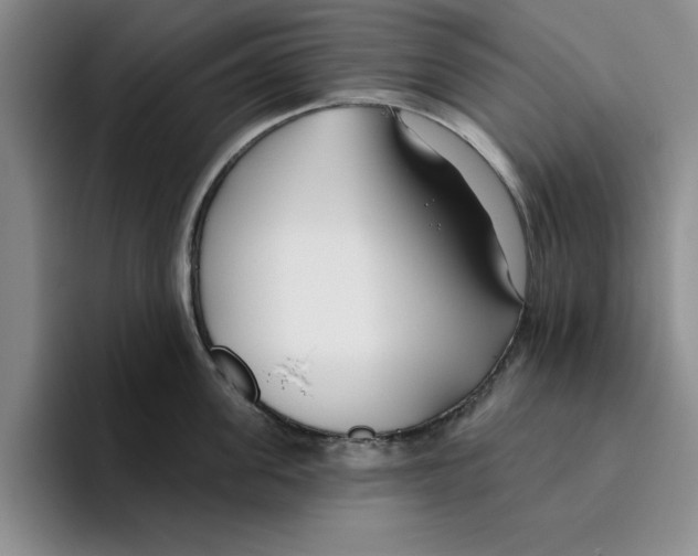 X0000096150955200802151351