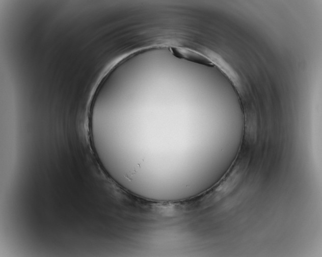 X0000096150956200802151351