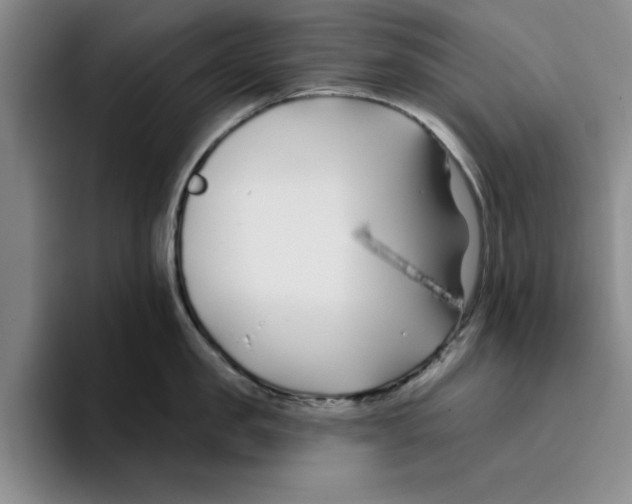 X0000096150957200802151352