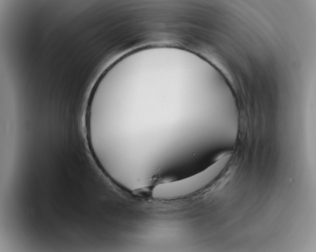 X0000096150959200802151352