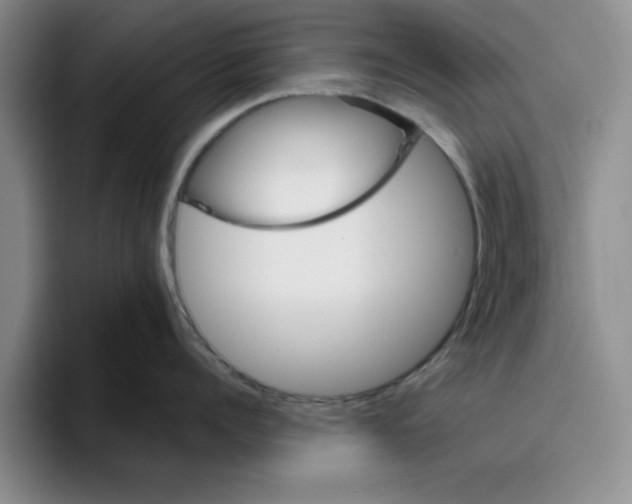 X0000096150960200802151352