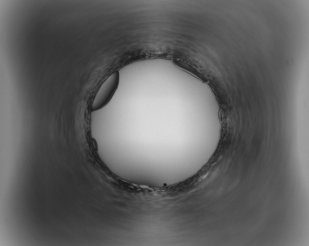 X0000096150961200802151351