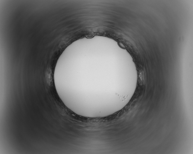 X0000096150963200802151351