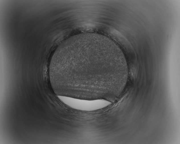 X0000096150964200802151351