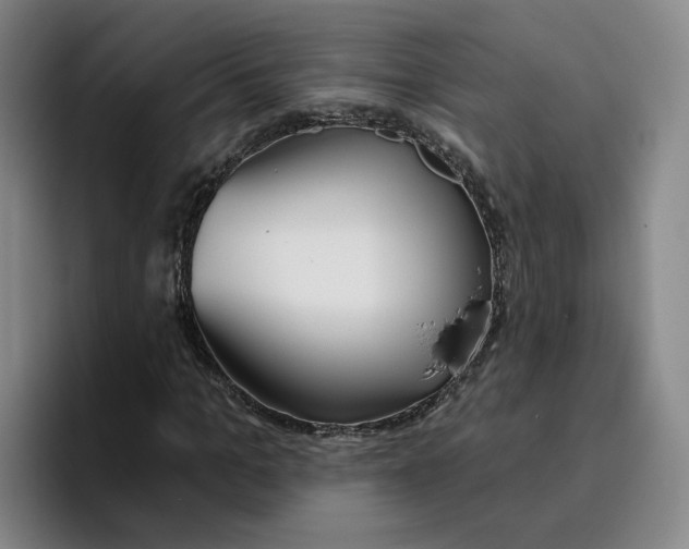 X0000096150965200802151351