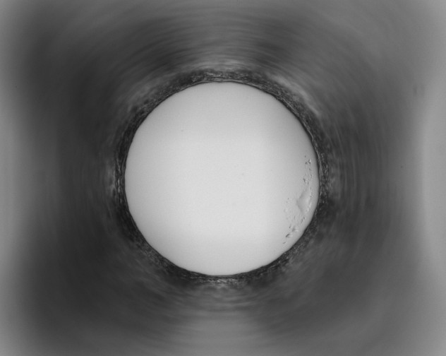 X0000096150966200802151351