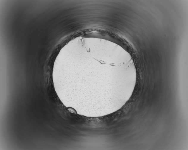 X0000096150968200802151351