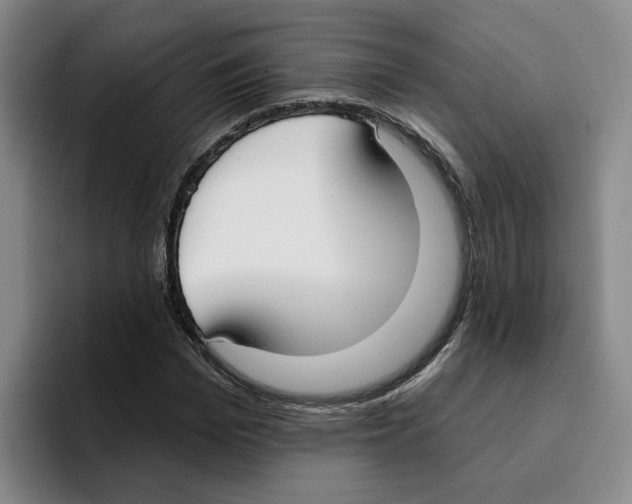 X0000096150969200802151351