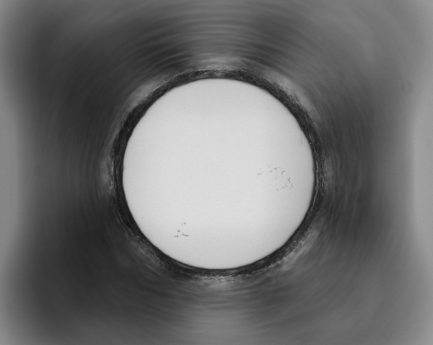 X0000096150970200802151351