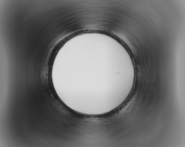 X0000096150971200802151351