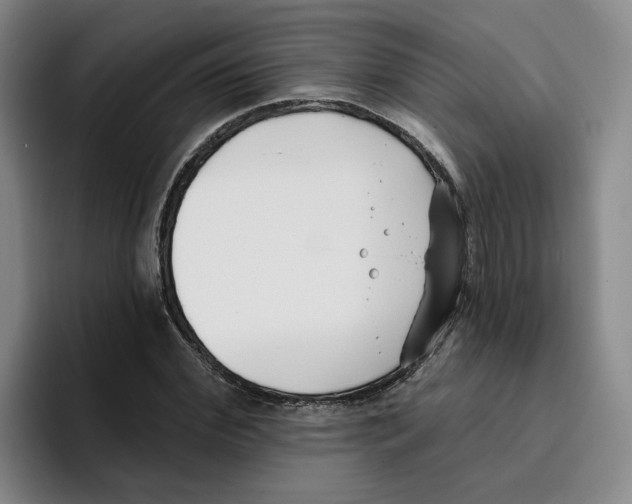 X0000096150972200802151351