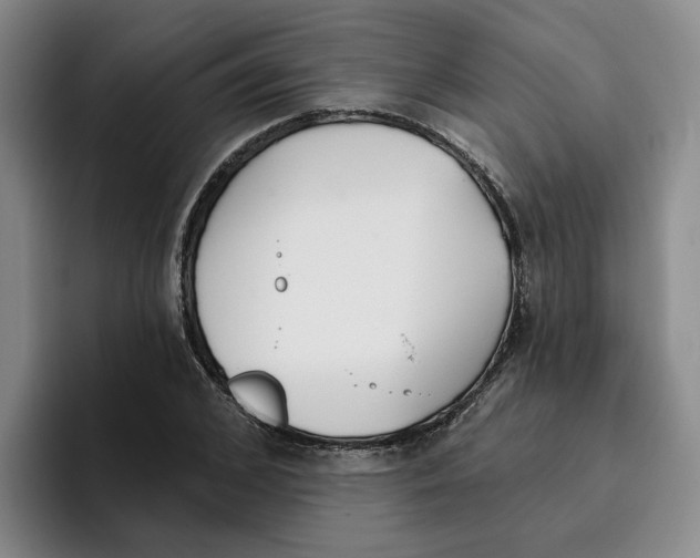 X0000096150976200802151351