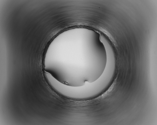 X0000096150977200802151351