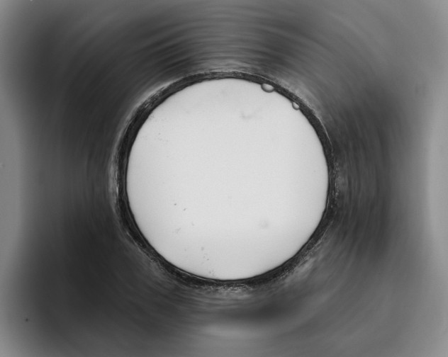 X0000096150979200802151351