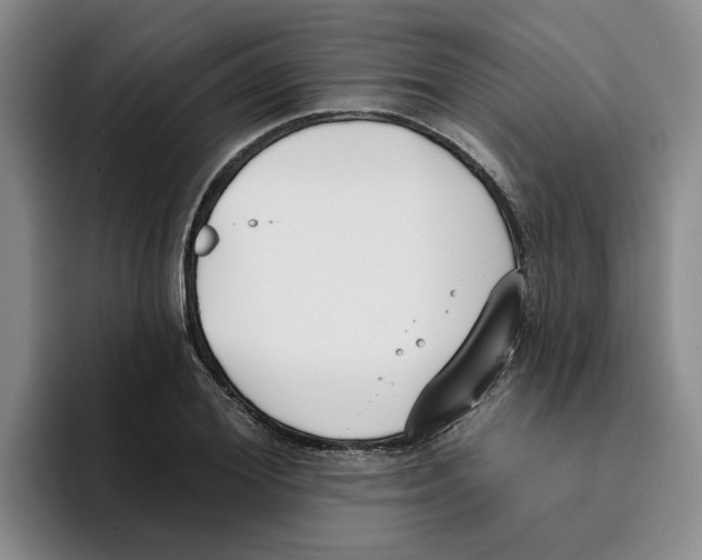 X0000096150980200802151351