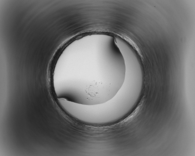 X0000096150981200802151351