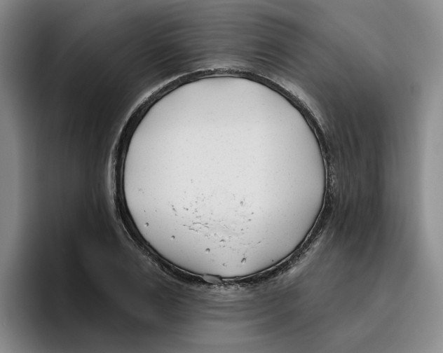 X0000096150983200802151351