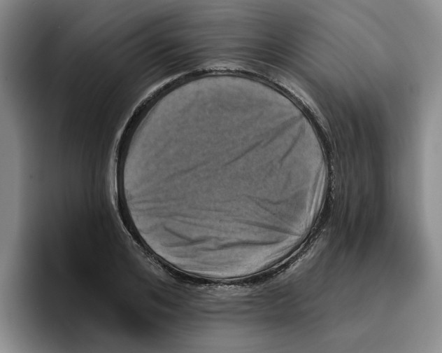 X0000096150984200802151351