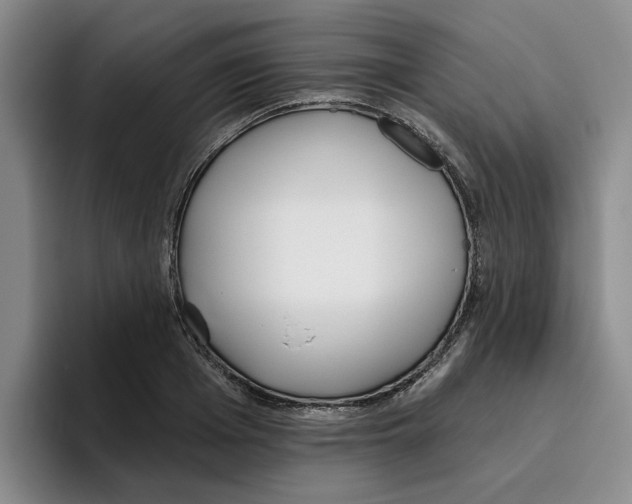 X0000096150985200802151351