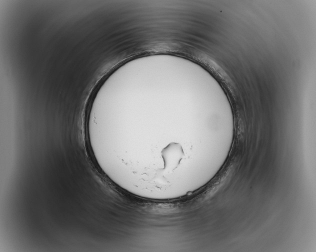 X0000096150986200802151351