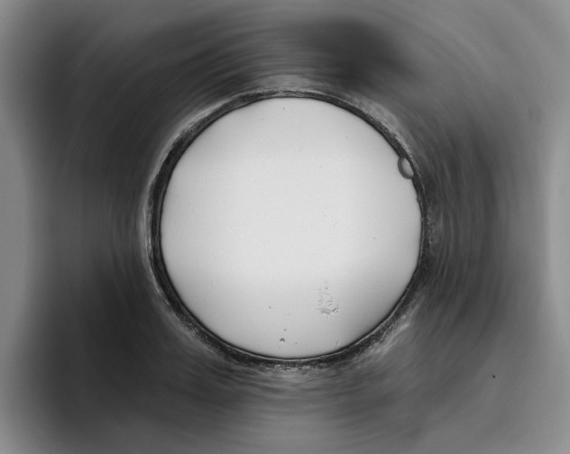 X0000096150987200802151351