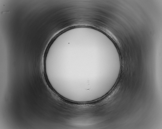 X0000096150988200802151351