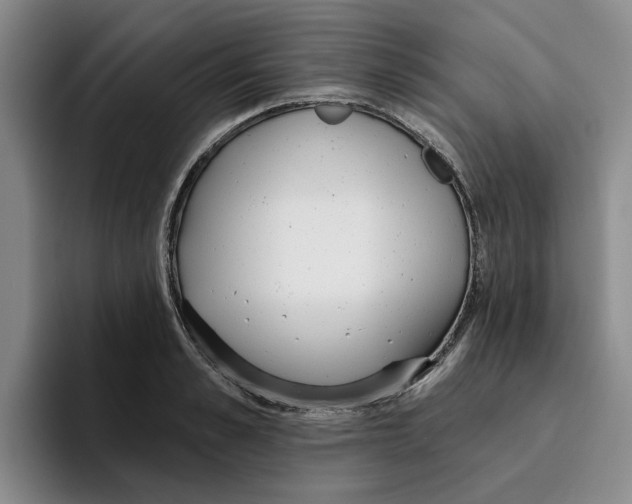 X0000096150989200802151351