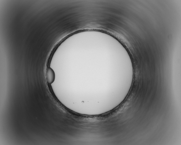 X0000096150990200802151351