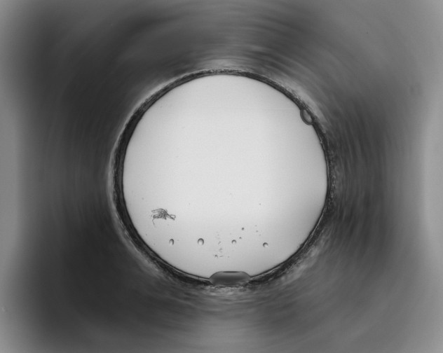 X0000096150991200802151351