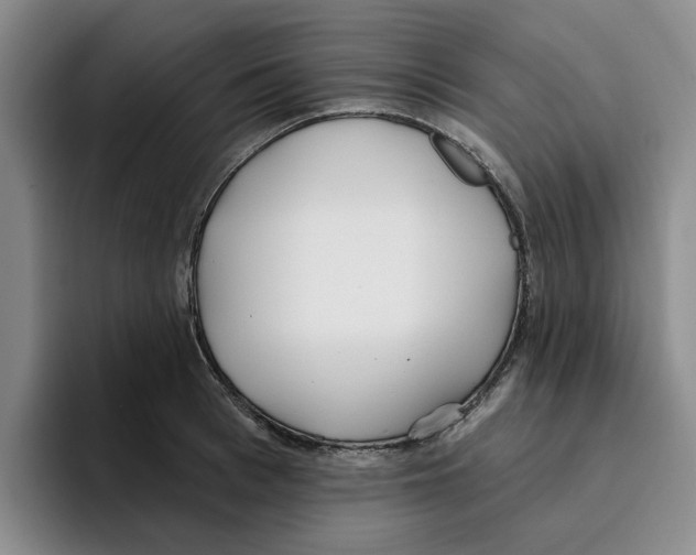 X0000096150993200802151351