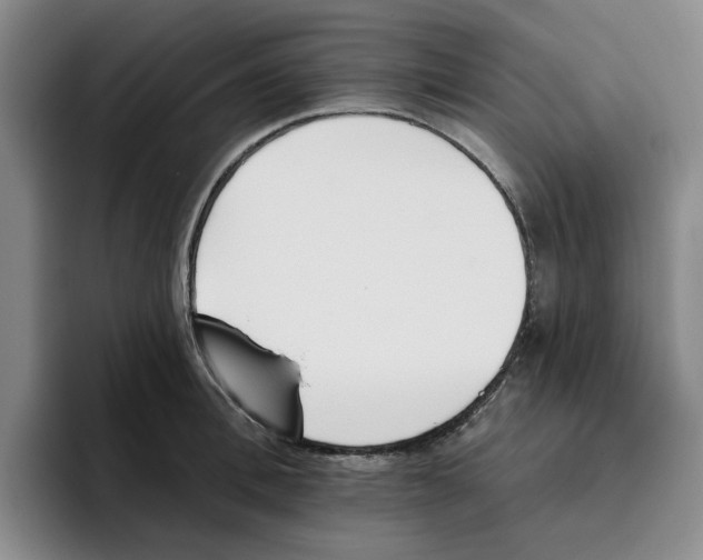 X0000096150996200802151350