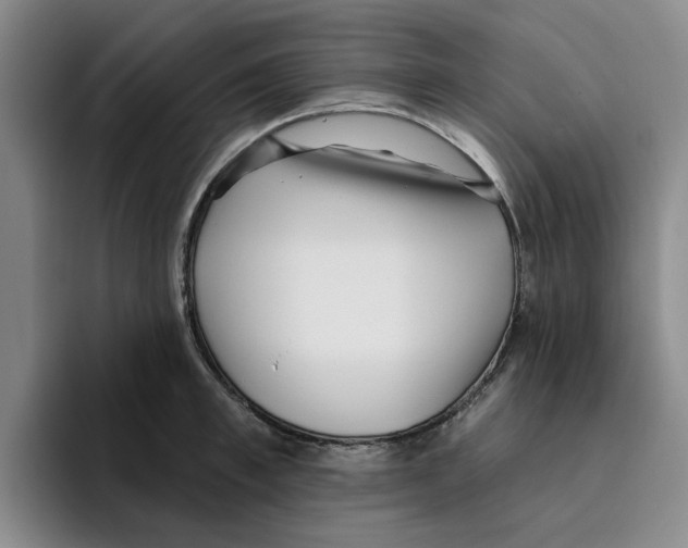 X0000096150997200802151350