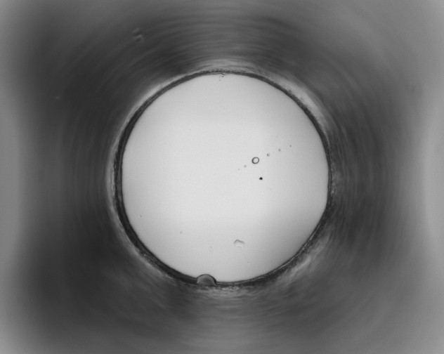 X0000096150999200802151350