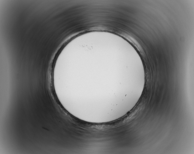 X0000096151000200802151350