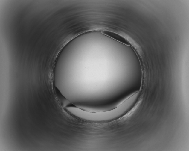 X0000096151001200802151350