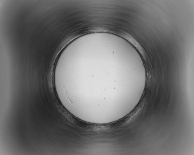 X0000096151002200802151350