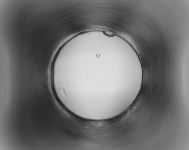 X0000096151003200802151350