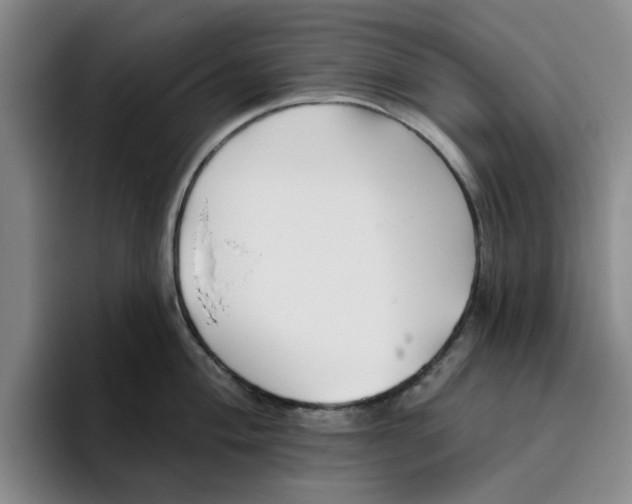 X0000096151004200802151350