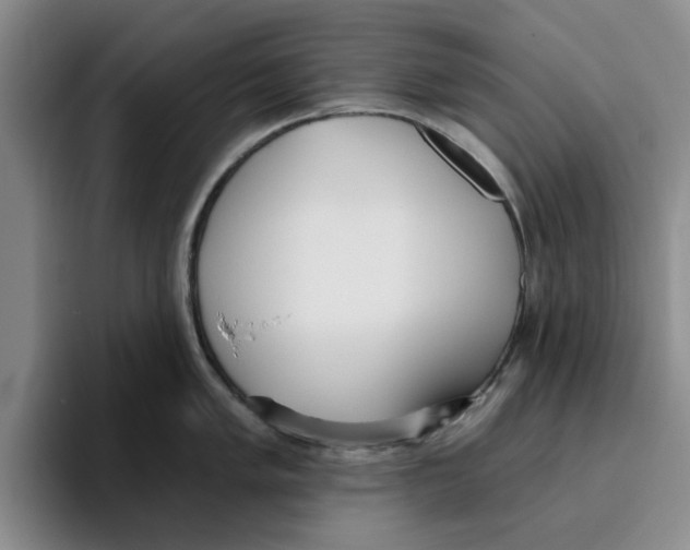 X0000096151005200802151350