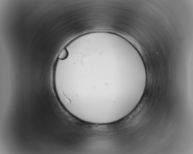 X0000096151006200802151350