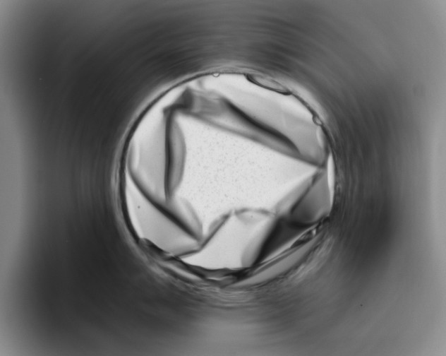 X0000096151007200802151350