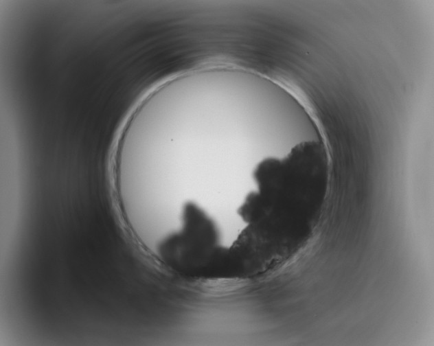 X0000096151008200802151350