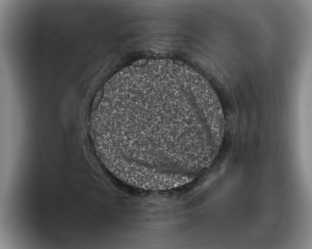 X0000096151009200802151350