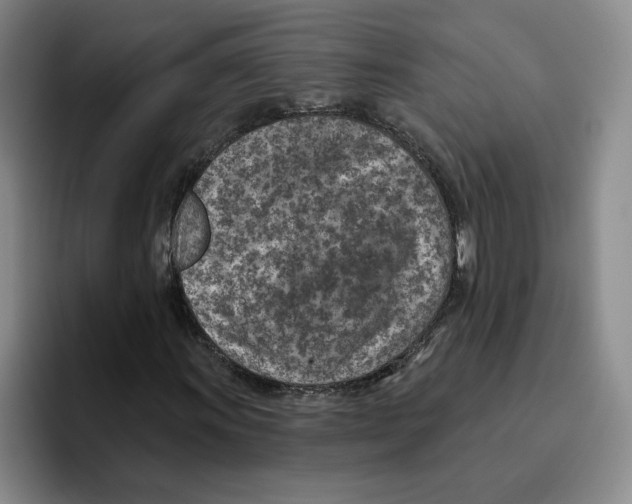 X0000096151011200802151350