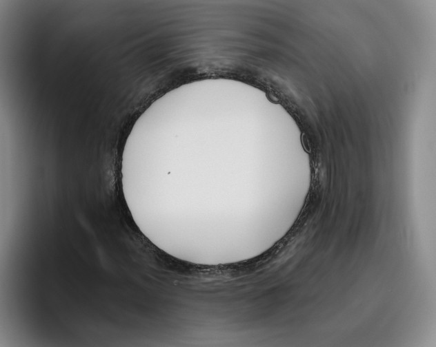 X0000096151012200802151350